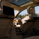 Illustration for article titled The 2018 Mercedes-Maybach S560 Is How You Make The Best Car In The World Better